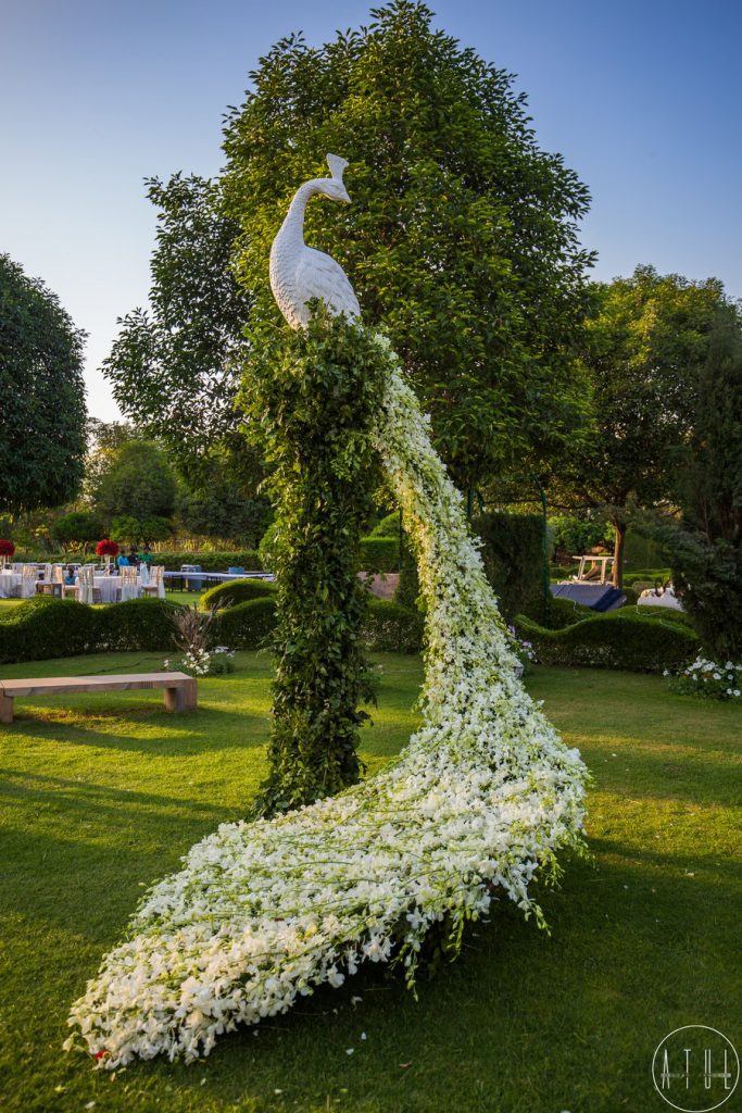 Beautify your Wedding with Fancy and Floral Peacock Decor, m 59